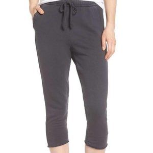 Frank & Eileen Tee Lab Crop Sweatpants